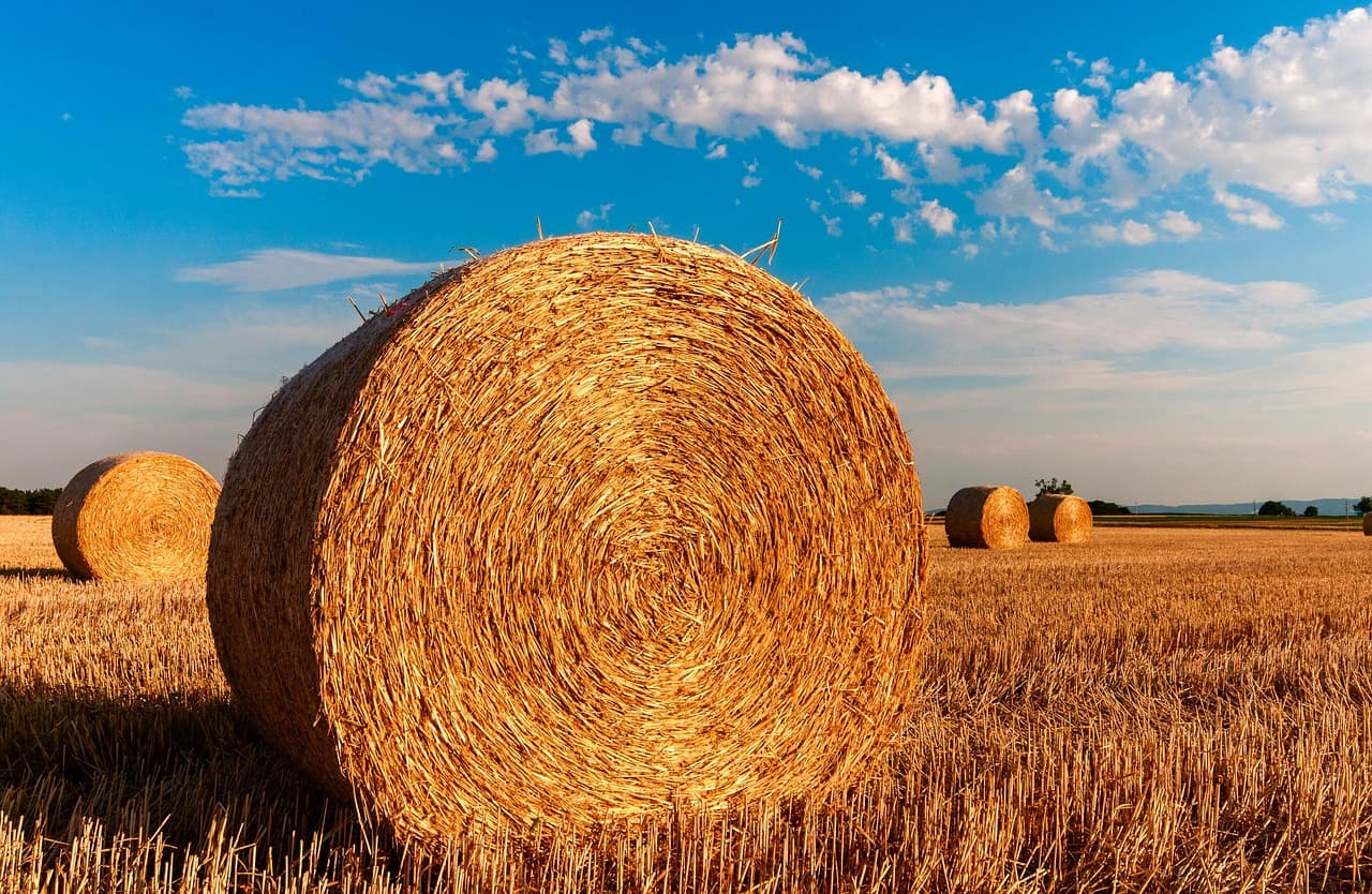 bogitw-hay-bales-726976_1280