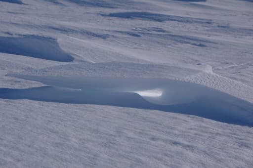 banquise antarctique