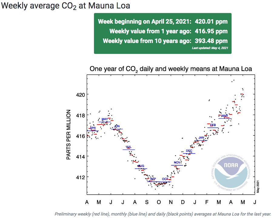 Mauna weekly – copie