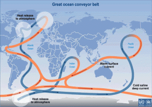Circulation thermohaline (source : GIEC)