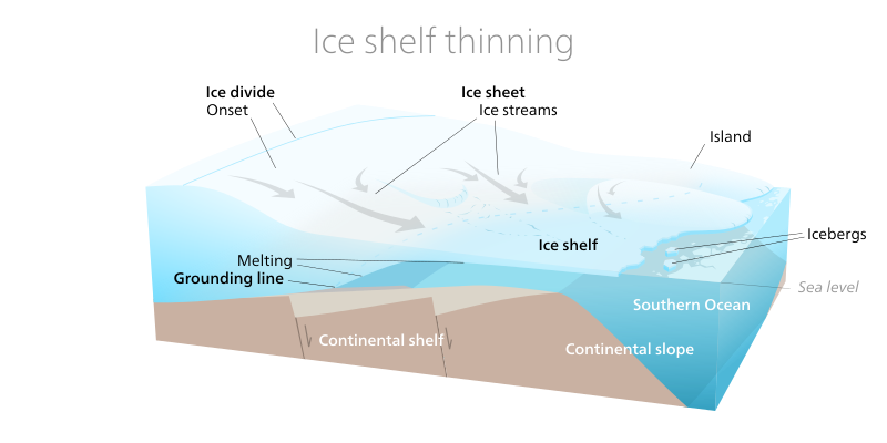 Plateforme de glace Antarctique