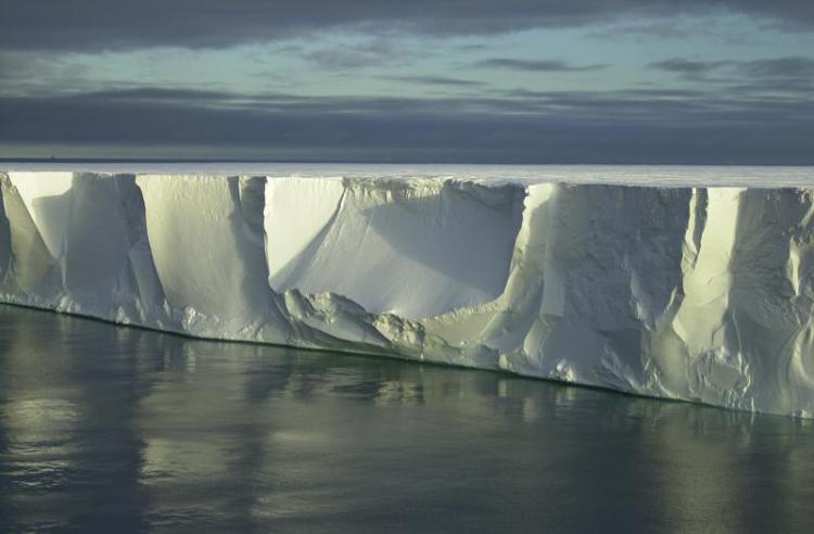 Plateforme de glace de l'Antarctique (Crédit : Georges Nijs)