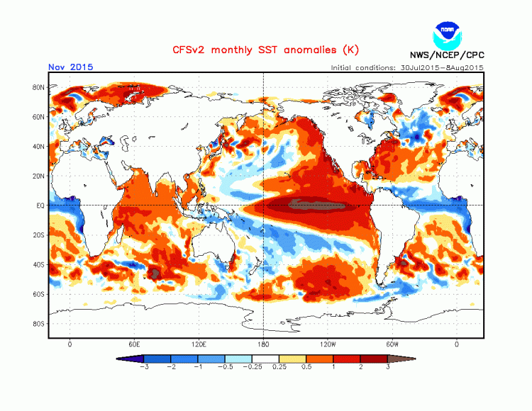 Anomalies de températures à la surface des mers prévues pour novembre 2015 (source : NCEP CFSv2)