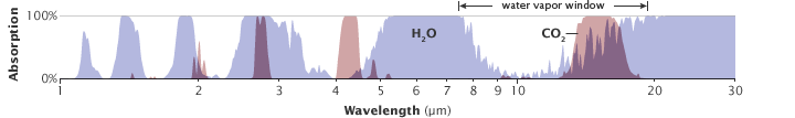 All atmospheric gases have a unique pattern of energy absorption: they absorb some wavelengths of energy but are transparent to others. The absorption patterns of water vapor (blue peaks) and carbon dioxide (pink peaks) overlap in some wavelengths. Carbon dioxide is not as strong a greenhouse gas as water vapor, but it absorbs energy in wavelengths (12-15 micrometers) that water vapor does not, partially closing the “window” through which heat radiated by the surface would normally escape to space. (Illustration adapted from Robert Rohde.)